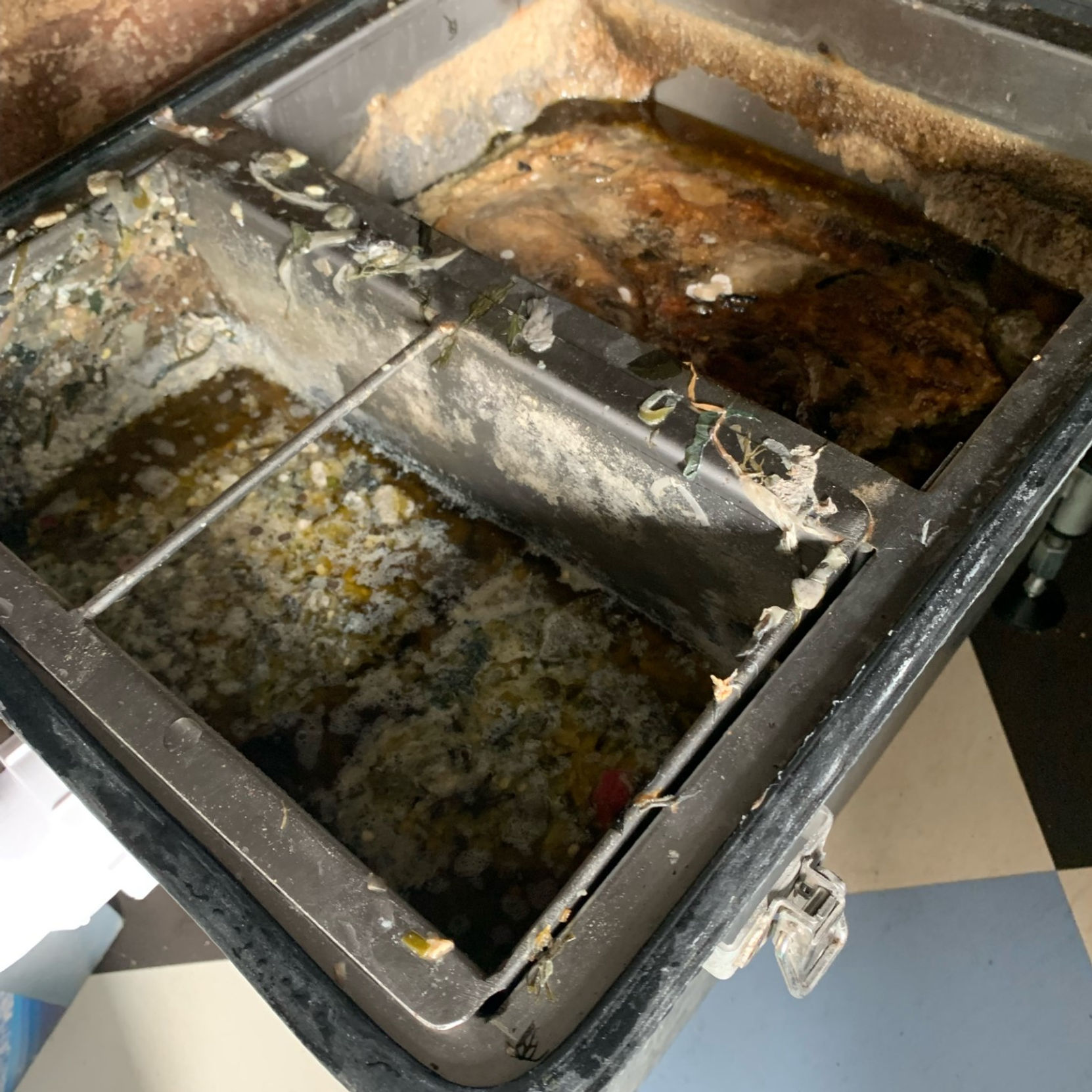 Grease Trap Overflow Before Service